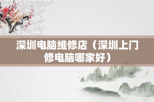 深圳电脑维修店（深圳上门修电脑哪家好）