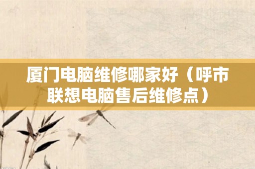 厦门电脑维修哪家好（呼市联想电脑售后维修点）