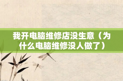 我开电脑维修店没生意（为什么电脑维修没人做了）