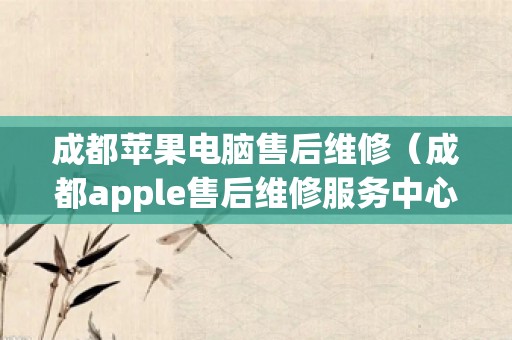 成都苹果电脑售后维修（成都apple售后维修服务中心）