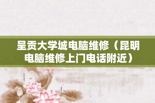 呈贡大学城电脑维修（昆明电脑维修上门电话附近）