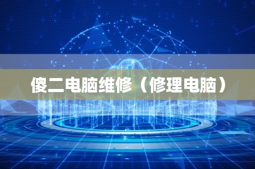 傻二电脑维修（修理电脑）