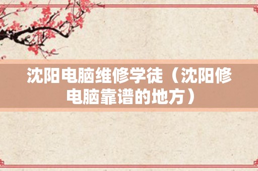 沈阳电脑维修学徒（沈阳修电脑靠谱的地方）