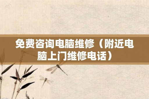 免费咨询电脑维修（附近电脑上门维修电话）