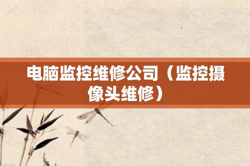 电脑监控维修公司（监控摄像头维修）