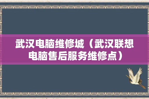武汉电脑维修城（武汉联想电脑售后服务维修点）