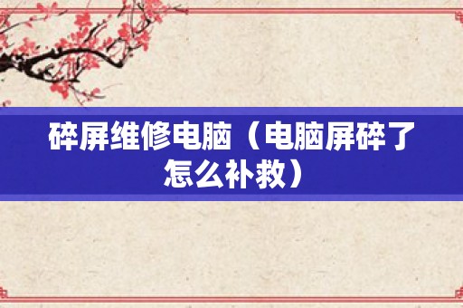 碎屏维修电脑（电脑屏碎了怎么补救）