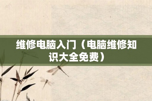 维修电脑入门（电脑维修知识大全免费）