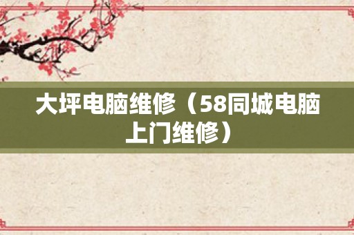 大坪电脑维修（58同城电脑上门维修）