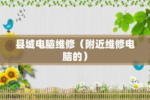 县城电脑维修（附近维修电脑的）