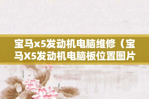 宝马x5发动机电脑维修（宝马X5发动机电脑板位置图片）