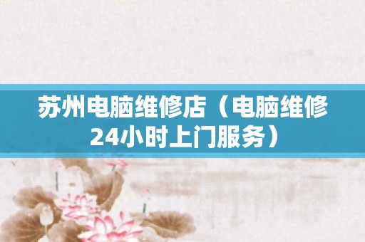 苏州电脑维修店（电脑维修24小时上门服务）