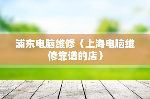 浦东电脑维修（上海电脑维修靠谱的店）