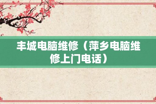 丰城电脑维修（萍乡电脑维修上门电话）