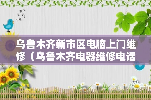 乌鲁木齐新市区电脑上门维修（乌鲁木齐电器维修电话）