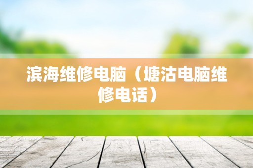 滨海维修电脑（塘沽电脑维修电话）