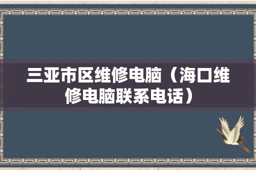 三亚市区维修电脑（海口维修电脑联系电话）