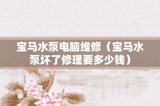宝马水泵电脑维修（宝马水泵坏了修理要多少钱）