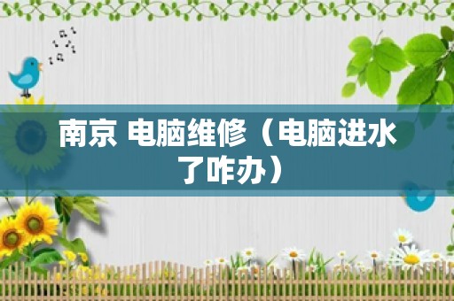 南京 电脑维修（电脑进水了咋办）