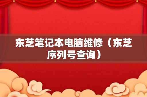 东芝笔记本电脑维修（东芝序列号查询）