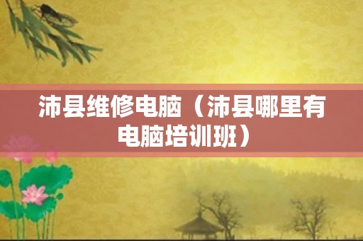 沛县维修电脑（沛县哪里有电脑培训班）