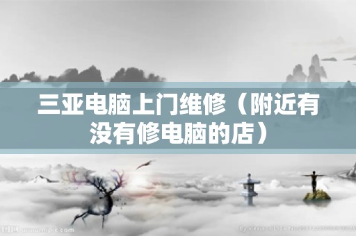 三亚电脑上门维修（附近有没有修电脑的店）