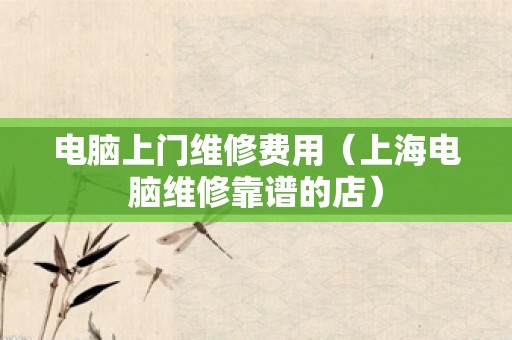 电脑上门维修费用（上海电脑维修靠谱的店）