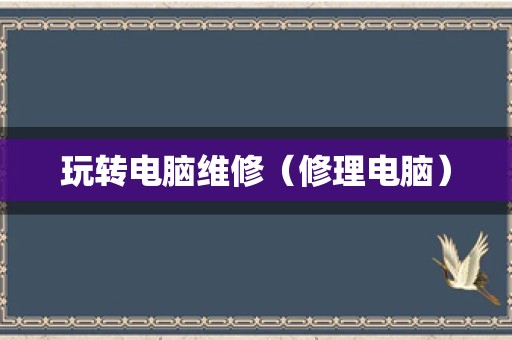 玩转电脑维修（修理电脑）