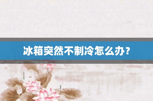 冰箱突然不制冷怎么办？