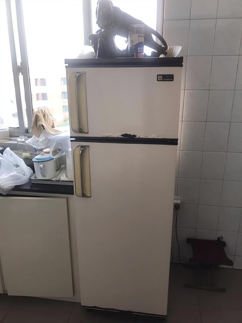 冰箱侧面烫手怎么解决（冰箱两侧发热烫手的处理方法）