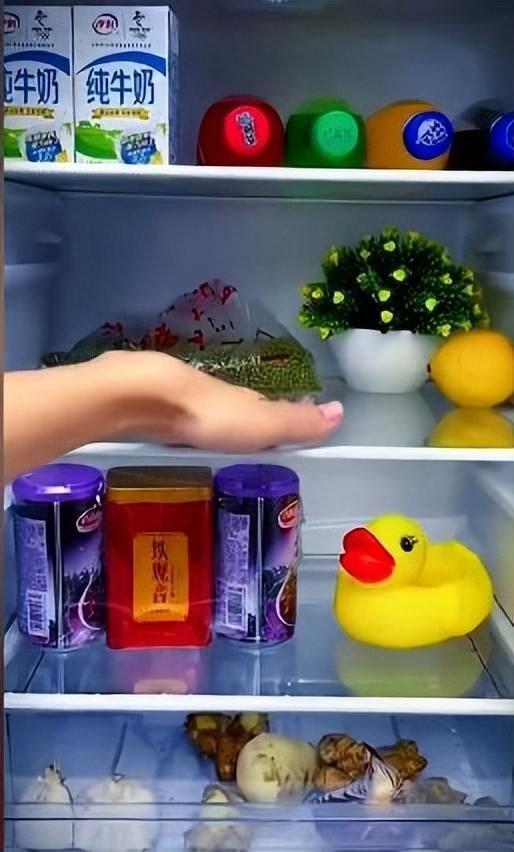 冰箱排水孔堵塞疏通方法（冰箱排水孔堵塞的处理方法）