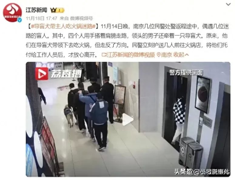 导盲犬带主人吃火锅迷路，民警一路护送结果暖心