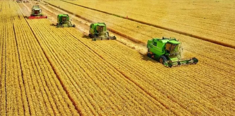 全国秋冬种进度已超98%，分享农业繁荣的背后故事