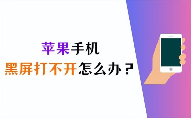 苹果手机突然黑屏打不开怎么办（iPhone黑屏无法打开的解决方法）