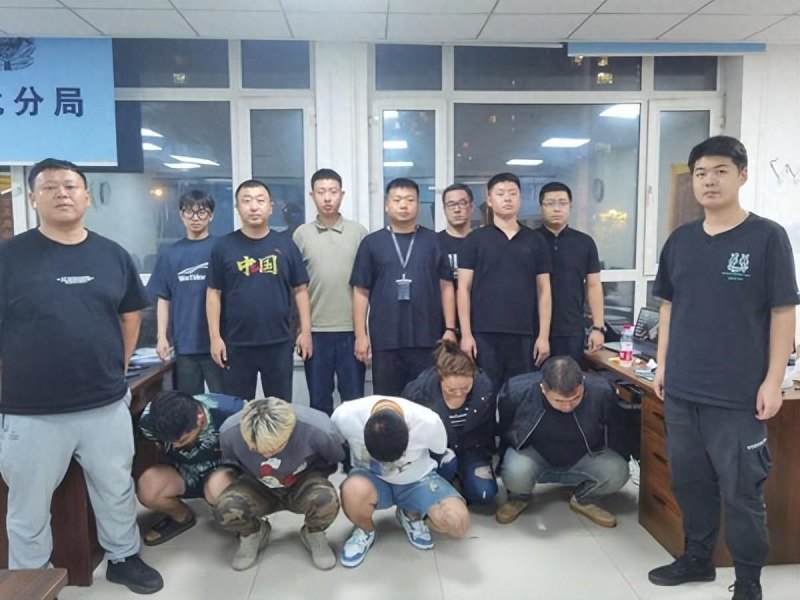 哈尔滨“宝妈”群13人被抓，被骗金额高达500余万元